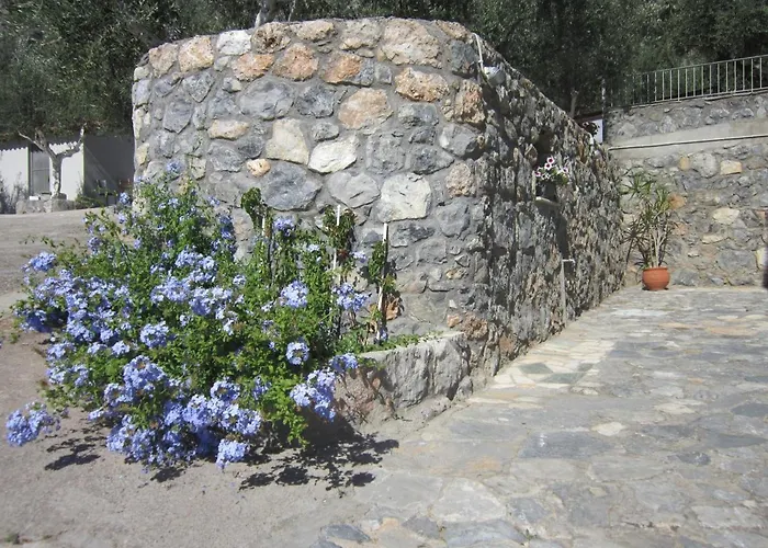 Blue Yard *