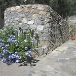 Blue Yard *