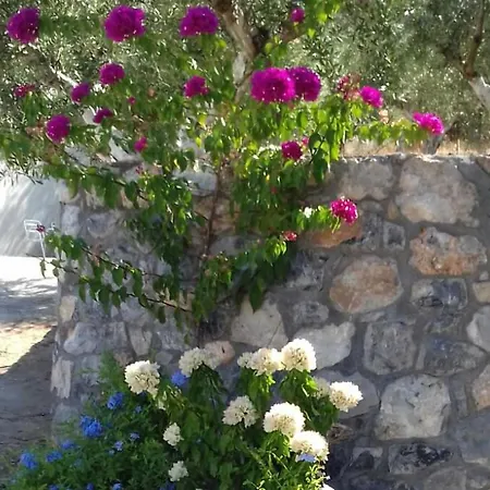 Blue Yard Kalamata