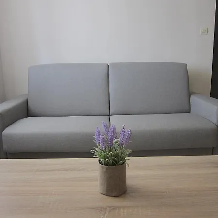 Blue Yard * קלמאטה