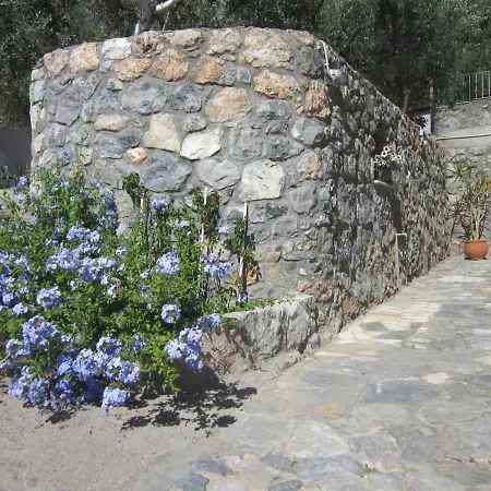 Blue Yard *
